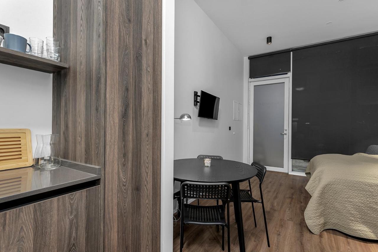 Brand-New Modern Studio Reykjavik Exterior photo